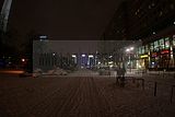 berlin 09-10_01_2010_073